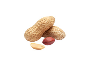 Roasted Unsalted In-Shell Peanuts photo
