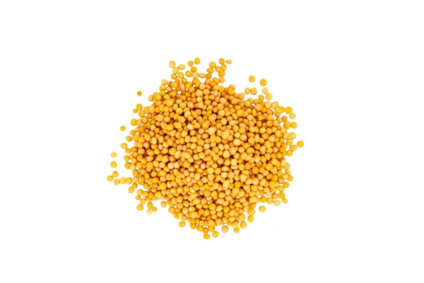 The Mustard Seeds☆Mustard Seeds Yellow Mustard Seeds Whole – The Spice Lab