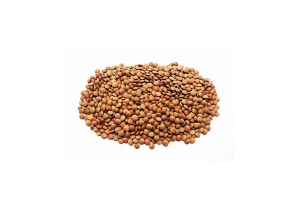 Dried Lentil Beans